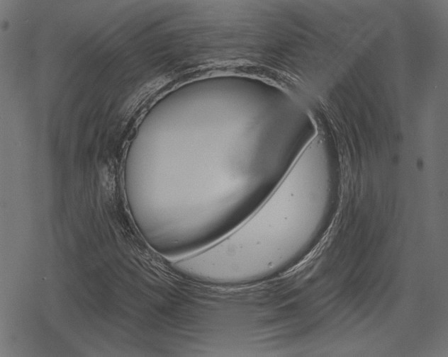 X0000078251257200611030846