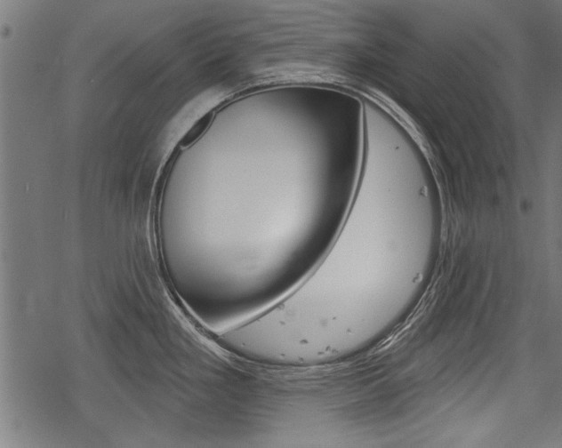 X0000078251293200611030845