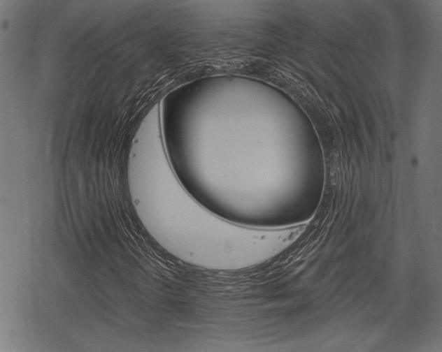 X0000078251298200611030844