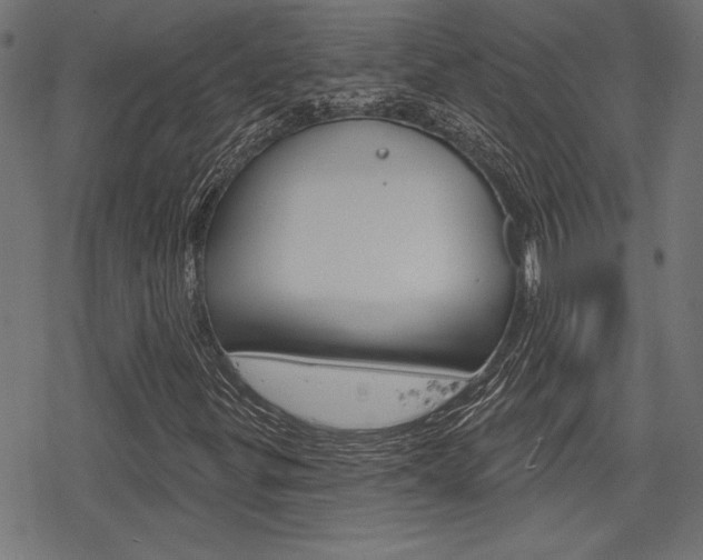 X0000078251299200611030844