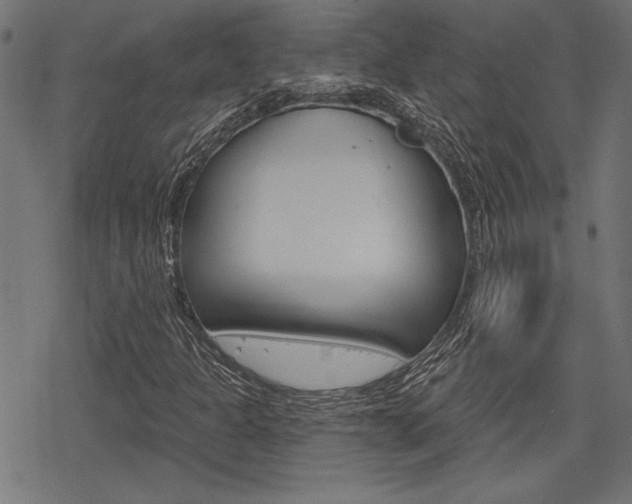 X0000078251301200611030844