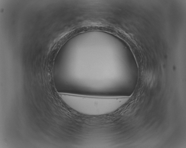 X0000078251303200611030844