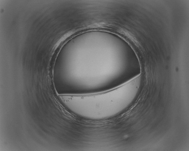 X0000078251308200611030844