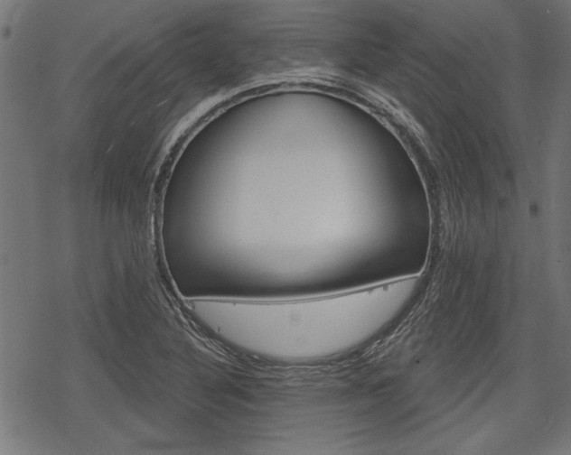 X0000078251316200611030845