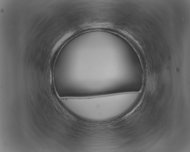 X0000078251317200611030845