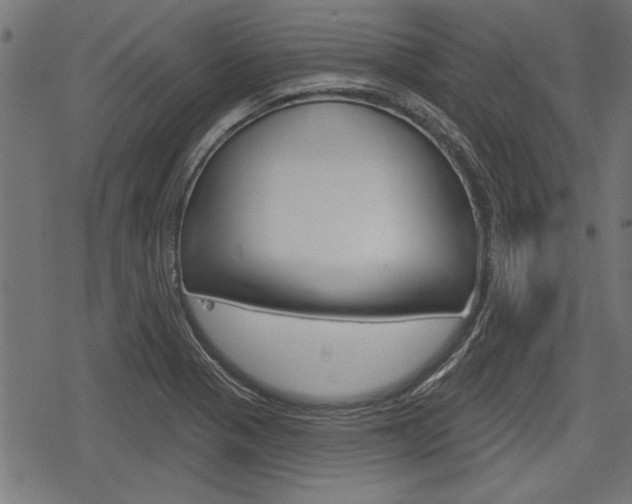 X0000078251321200611030845