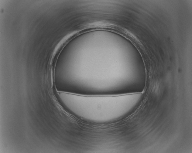 X0000078251323200611030845