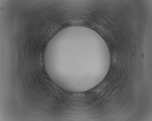 X0000078251346200611030844