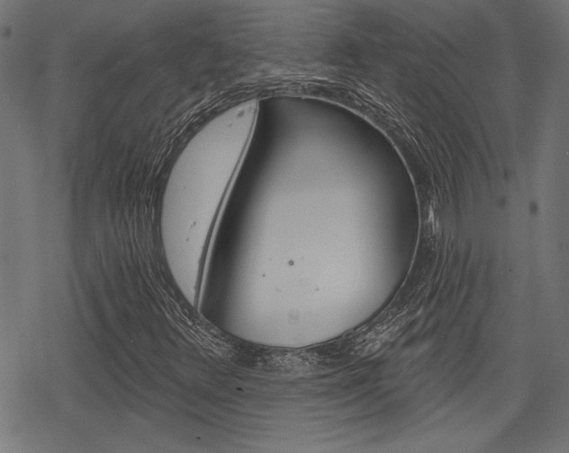 X0000078251348200611030844