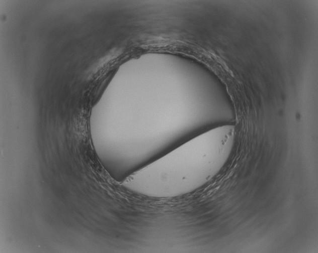 X0000078251350200611030844