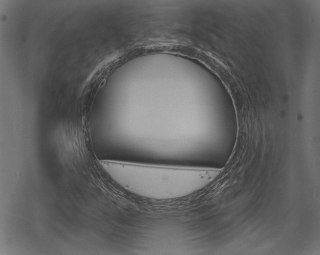X0000078251351200611030844