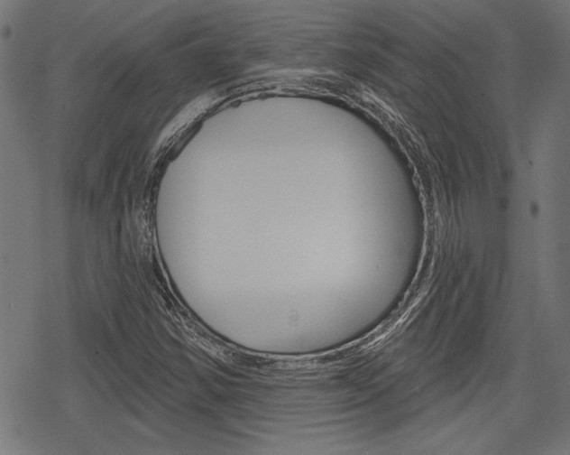 X0000078251354200611030844