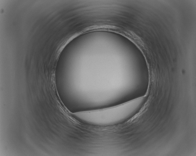 X0000078251369200611030844