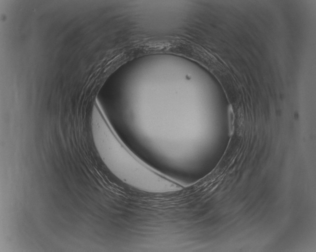X0000078251394200611030843