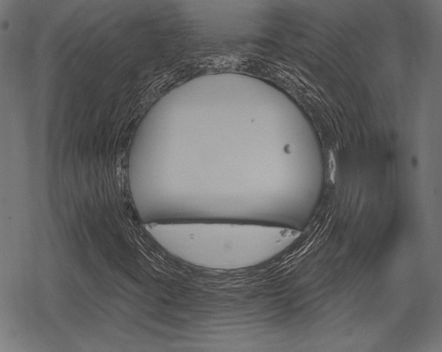 X0000078251395200611030843