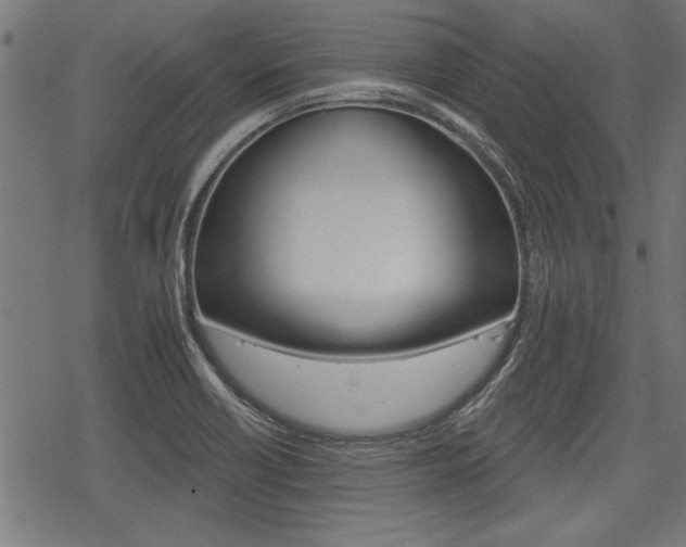 X0000078251418200611030843