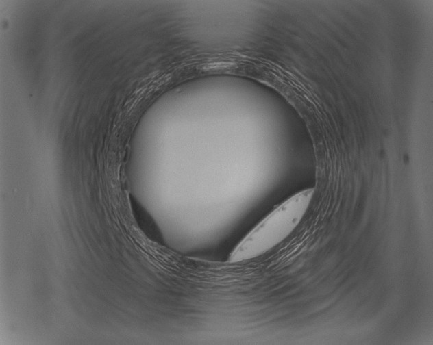 X0000078251441200611030843