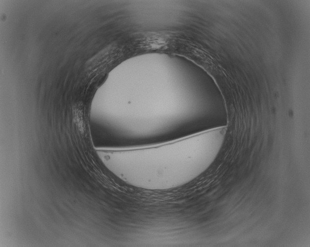 X0000078251442200611030843