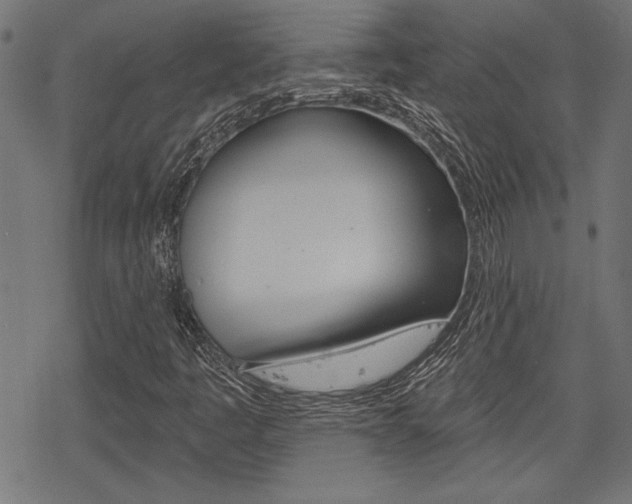 X0000078251445200611030843