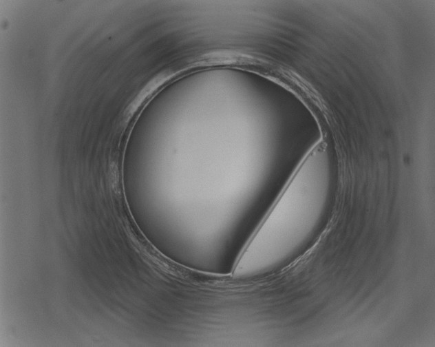 X0000078251465200611030842