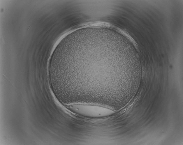 X0000078251483200611030842