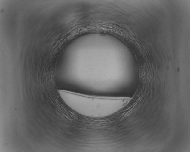 X0000078251490200611030841