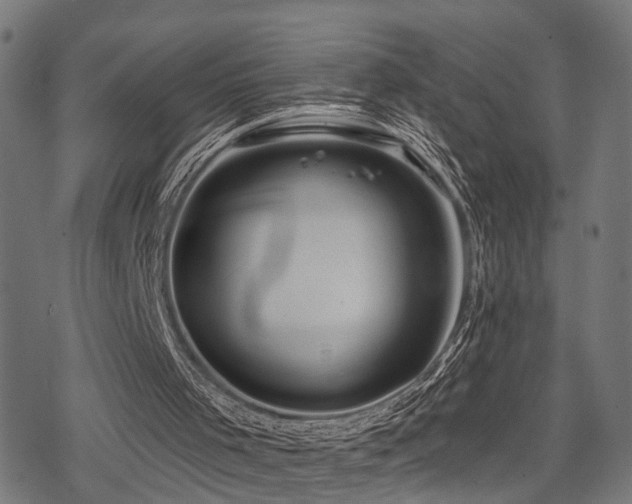 X0000078250001200611031149