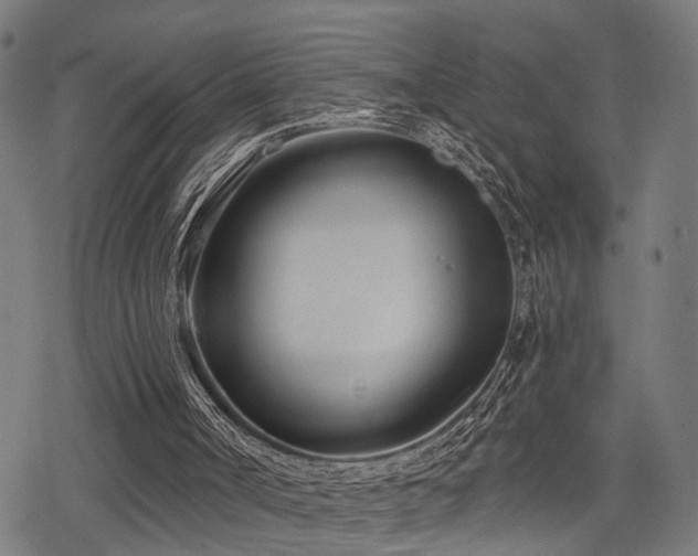 X0000078250002200611031149