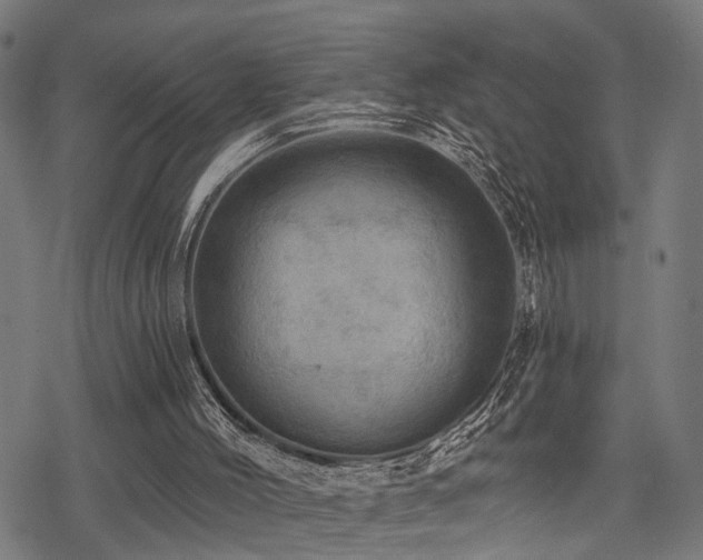 X0000078250004200611031149