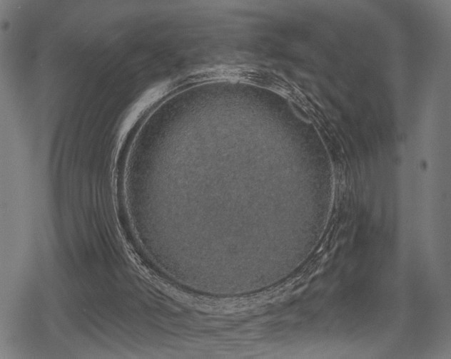 X0000078250006200611031149
