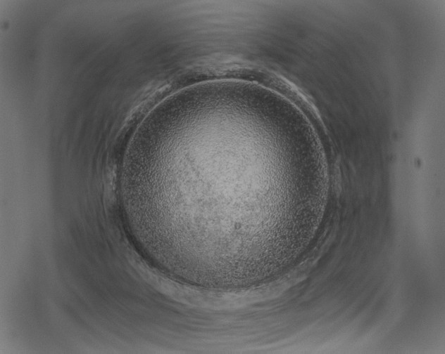 X0000078250018200611031149