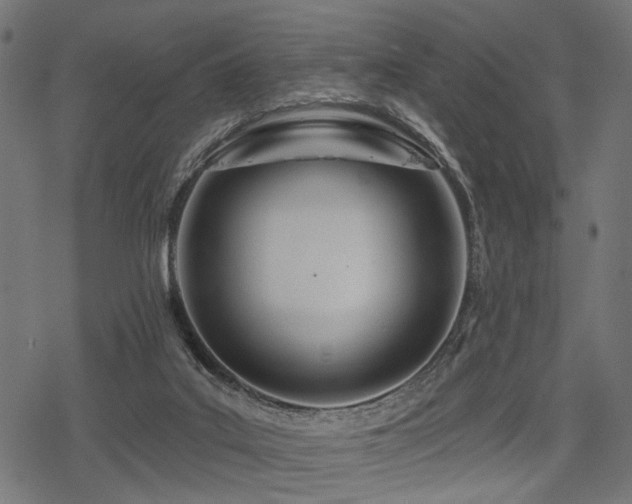 X0000078250019200611031149
