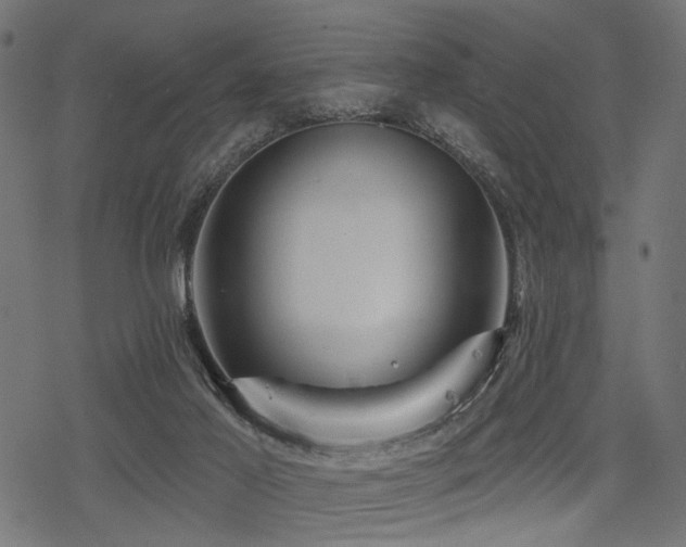 X0000078250021200611031149