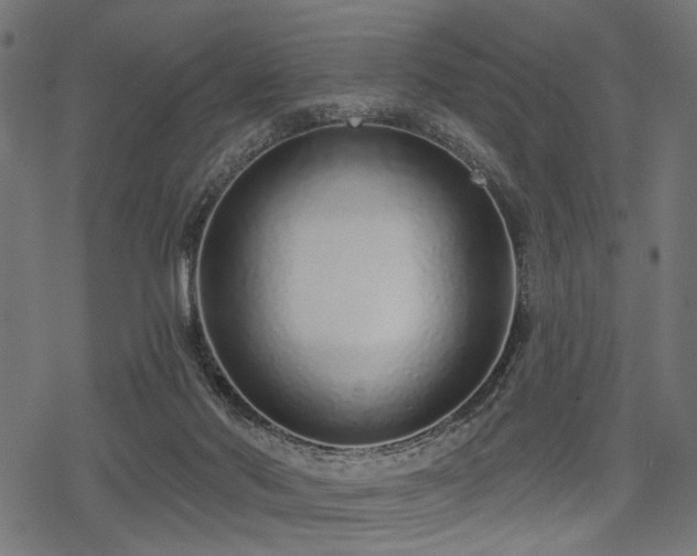 X0000078250022200611031149