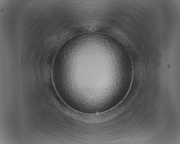 X0000078250030200611031148