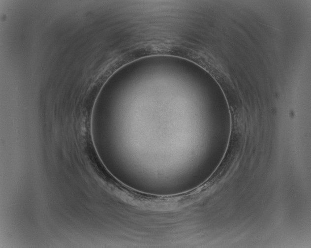 X0000078250032200611031148