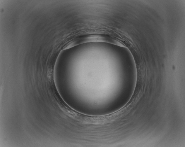 X0000078250033200611031148