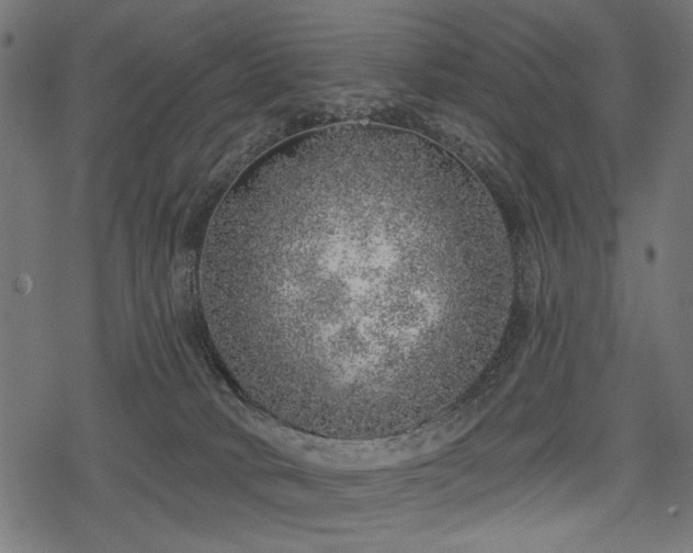 X0000078250034200611031148