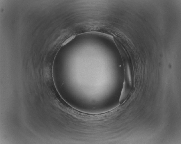 X0000078250035200611031148
