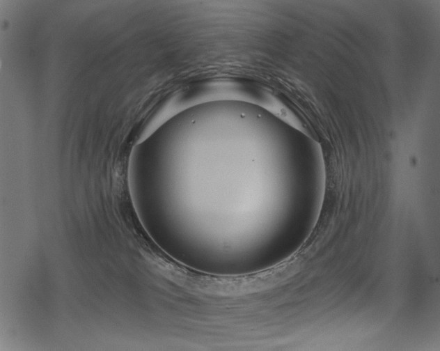 X0000078250037200611031148