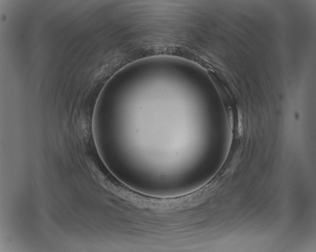X0000078250039200611031148