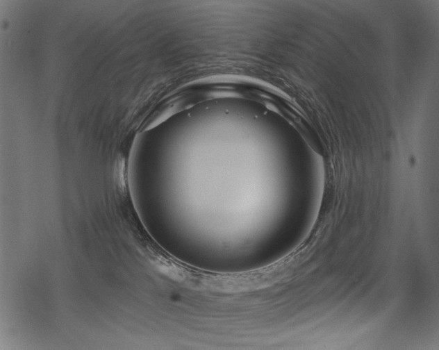 X0000078250041200611031148