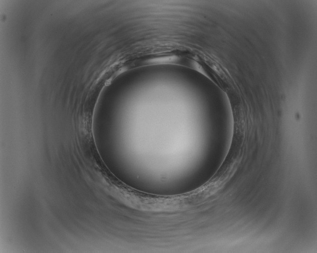 X0000078250044200611031148