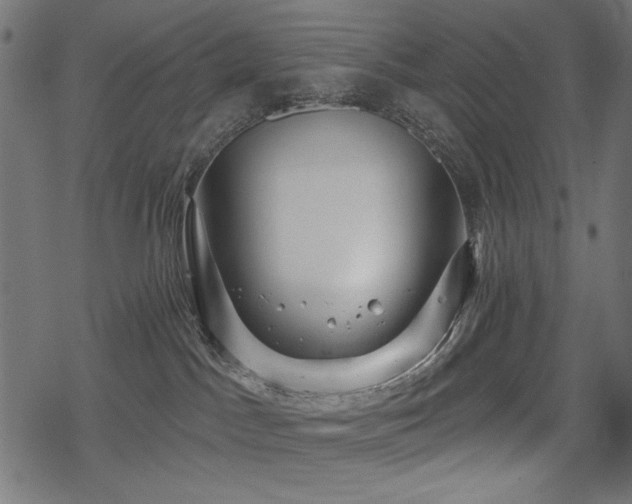 X0000078250045200611031148