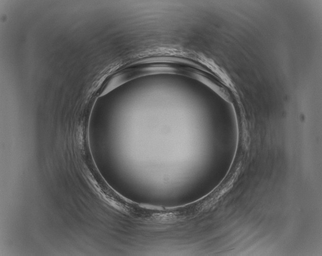 X0000078250057200611031148