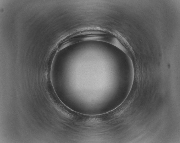 X0000078250063200611031148