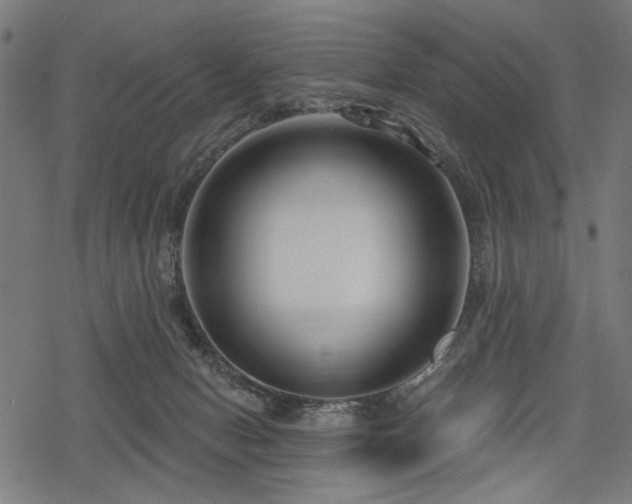 X0000078250078200611031148