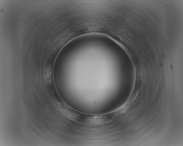 X0000078250082200611031148