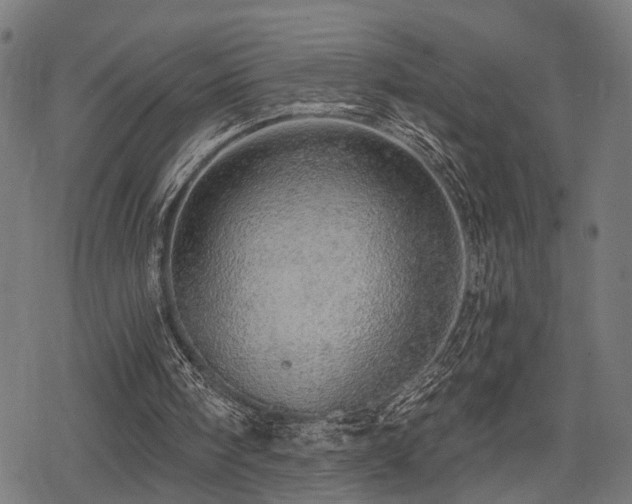 X0000078250098200611031147