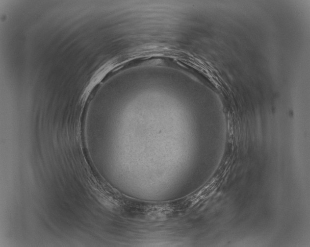 X0000078250099200611031147